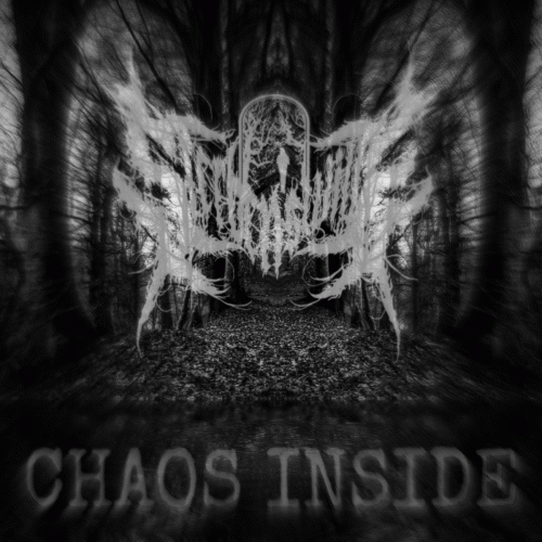 Sterbenswille : Chaos Inside